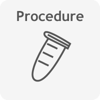 mouse b cell activation in vitro