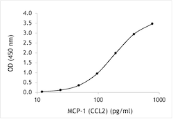 Human MCP-1 CCL2 ELISA